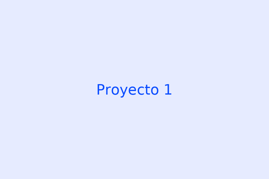 Proyecto 1